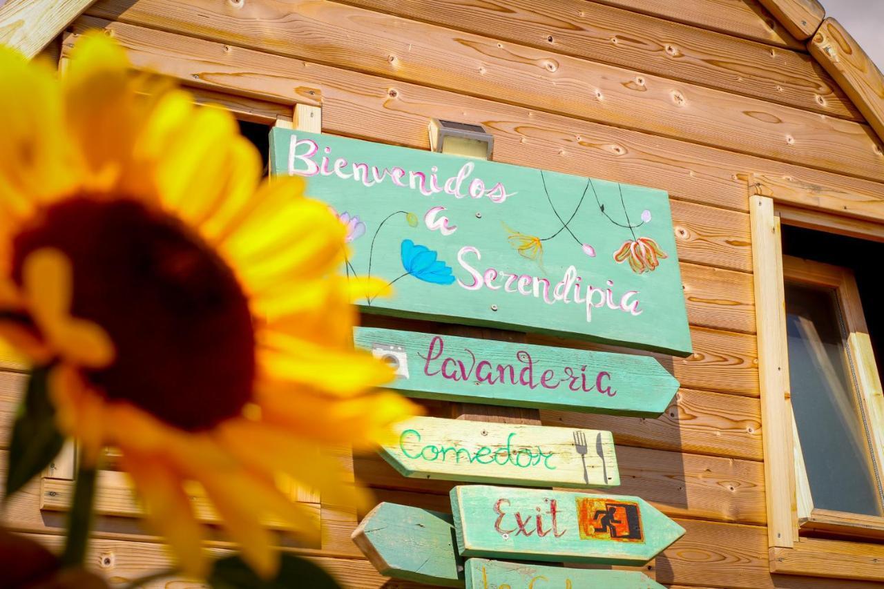 Macaronesia Spa, Sauna Y Piscina